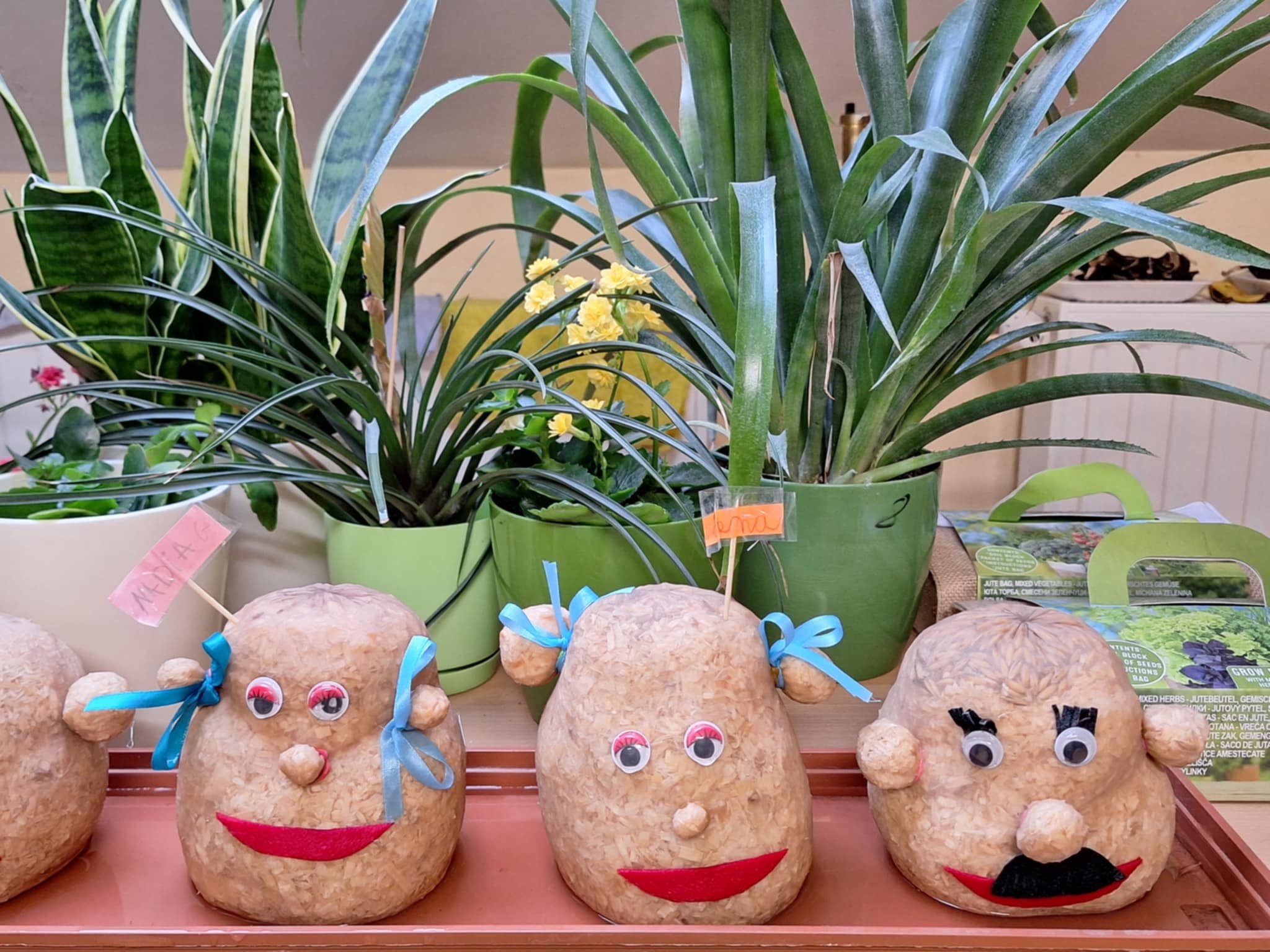 🌱 Rosnące głowy na kółku plastycznym! 🎨